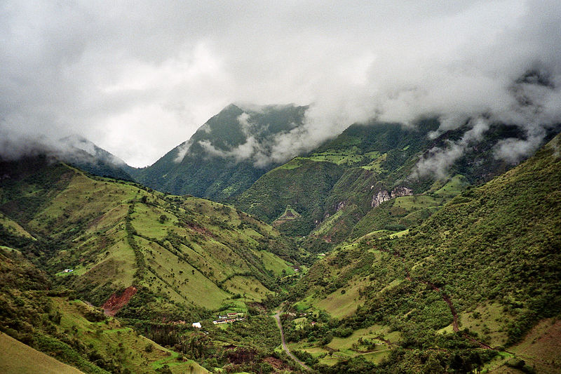 Mindo-Nambillo Cloud Forest, South America, largest forests in the world