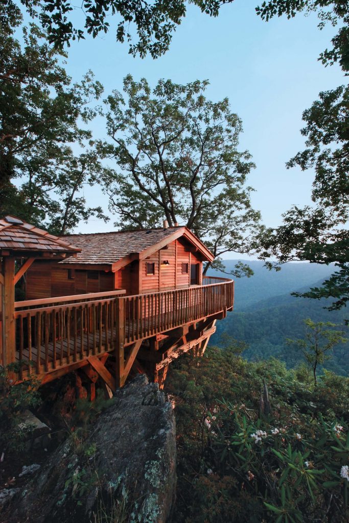 Treehouse 