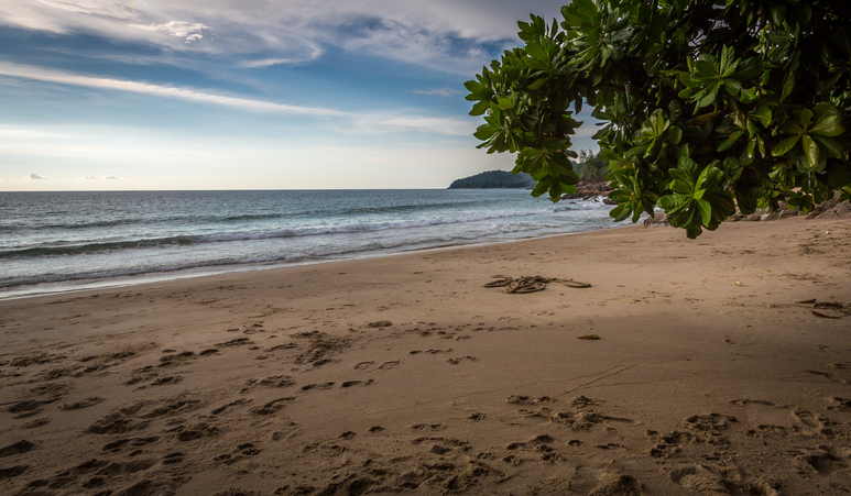 Empty Beach near Naithon on the West Coast of Phuket