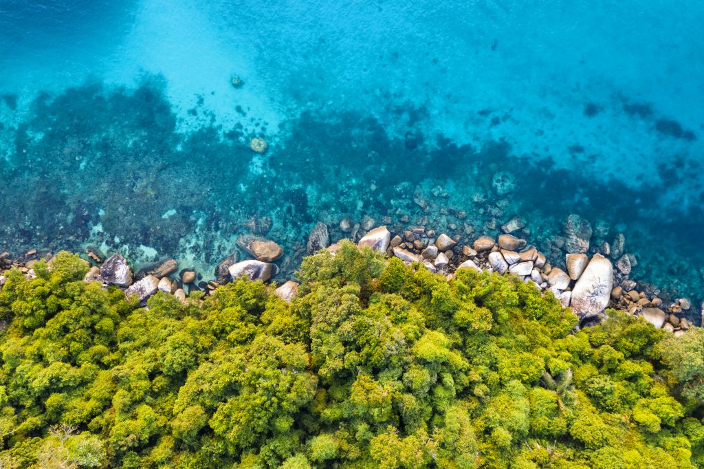 Aerial view of coast of Tioman Islands in Malaysia