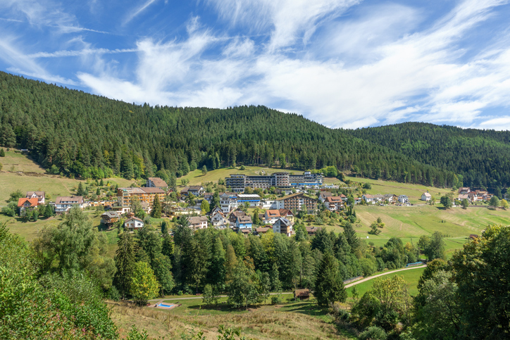 Black forest in germany