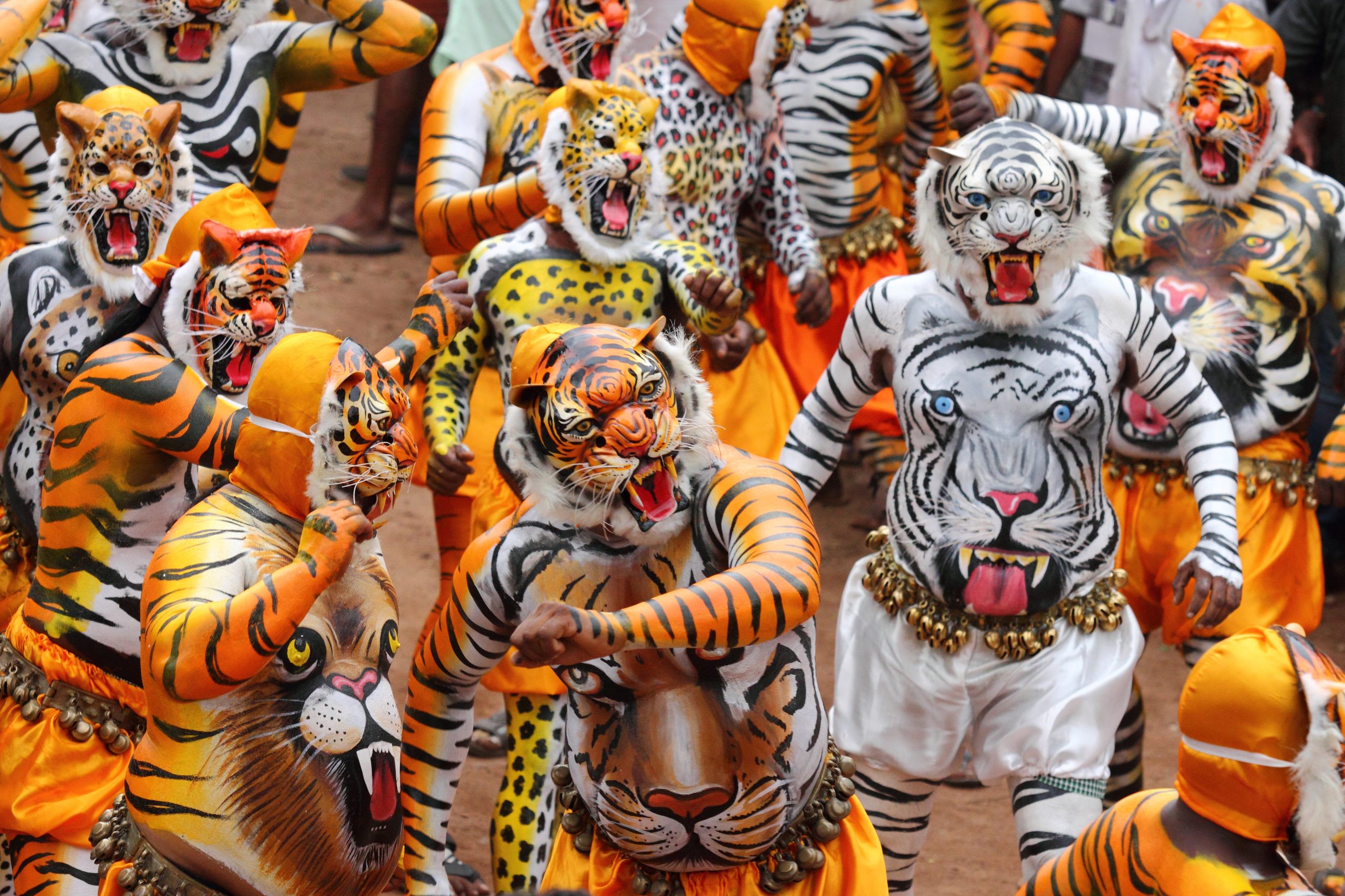 Body painted people perform 'tiger dance' at Swaraj round in Thrissur, Kerala