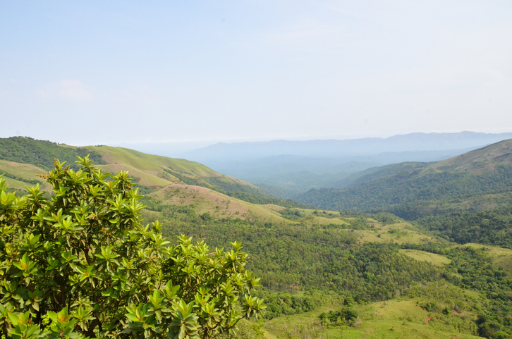 Mullayanagiri range of mountains near Chickmagalur, Karnataka