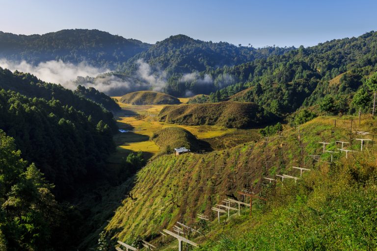 How to Plan A Trip To Ziro Valley In Arunachal Pradesh