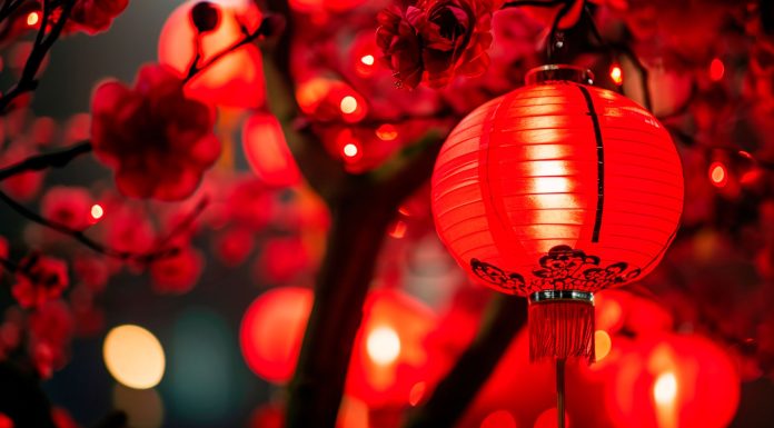 Chinese New Year, (Image Source: Pexels) Chinese New Year