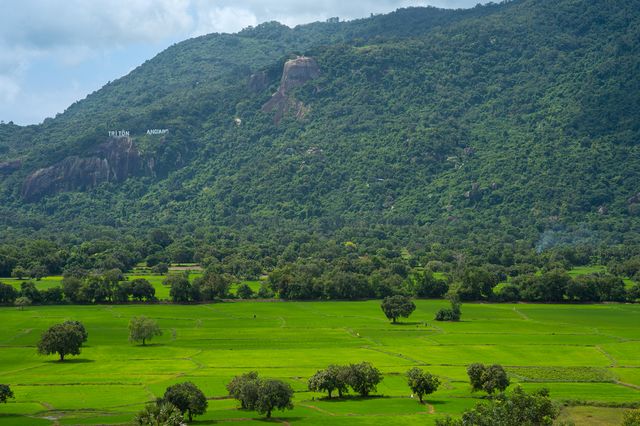 yelagiri road trips from Chennai