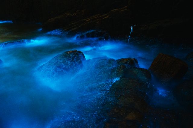 Bioluminescent Bay