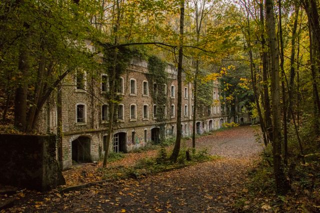 Historic abandoned building amidst autumn trees with fallen leaves