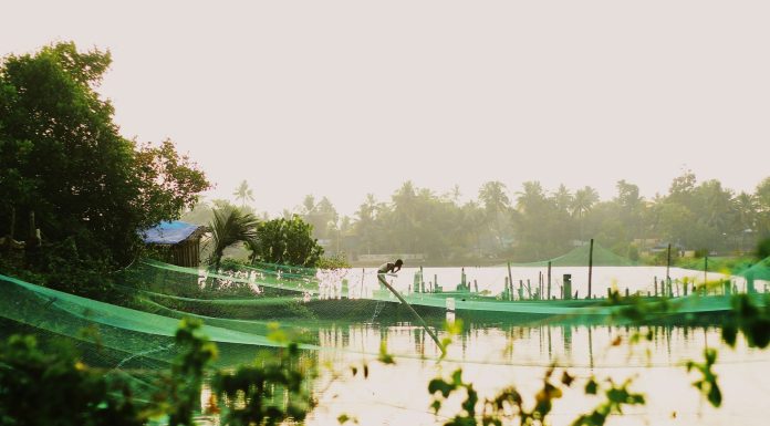 Beautiful Villages In India, (Image Source: Unsplash) Beautiful Villages In India