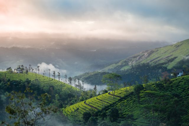 Vagamon