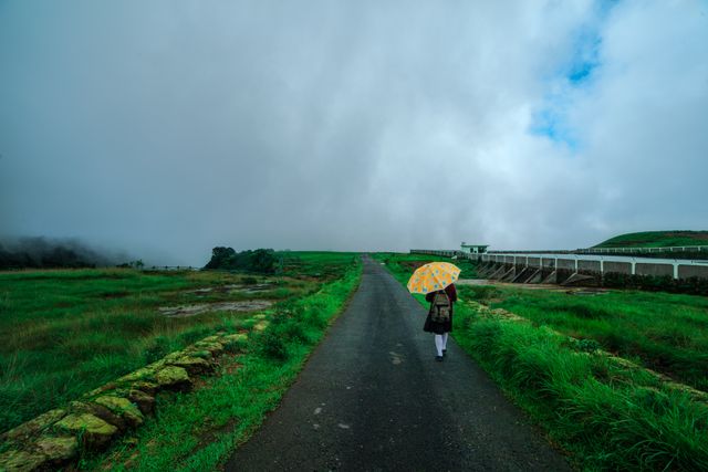 Mawlynnong, Meghalaya - villages In Inida