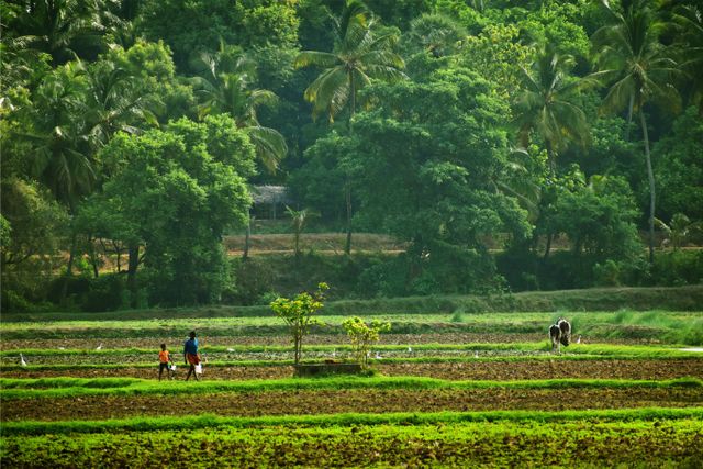 Most beautiful villages In iIndia