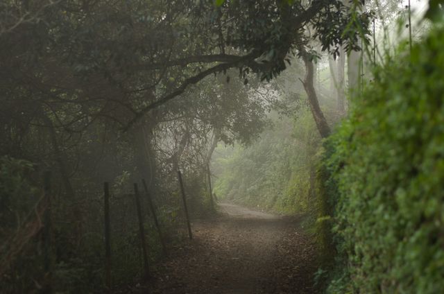 Haunted Hotels In India