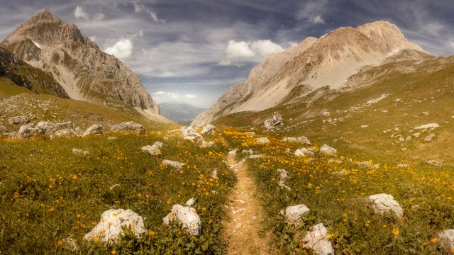 Breathtaking mountain valley landscape with wildflowers and rocky path under a clear summer sky
