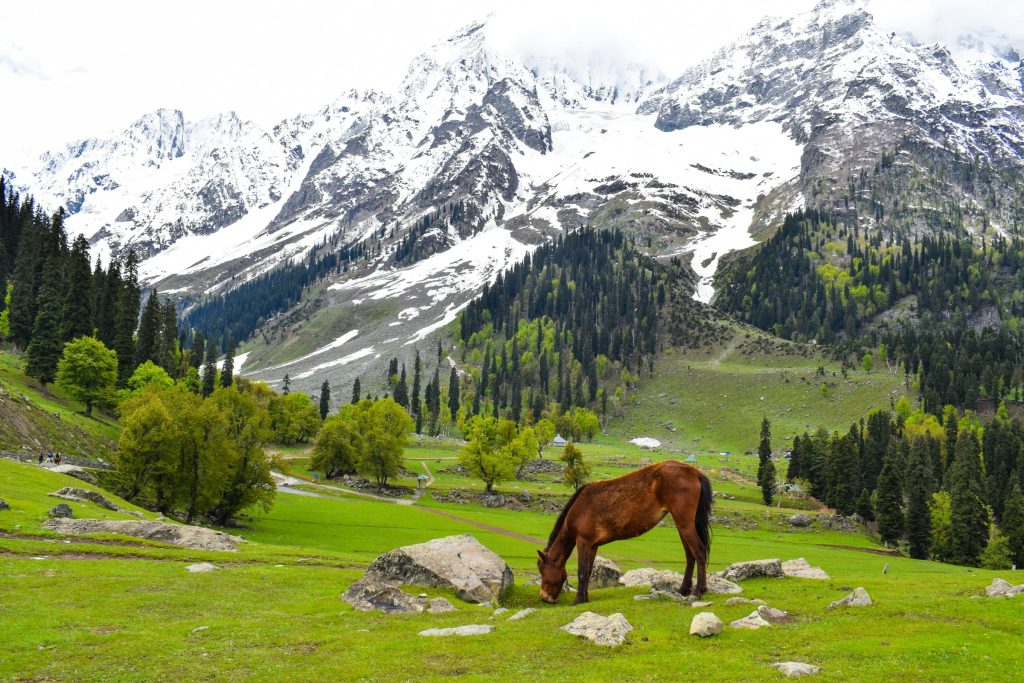 Places To Visit In Kashmir