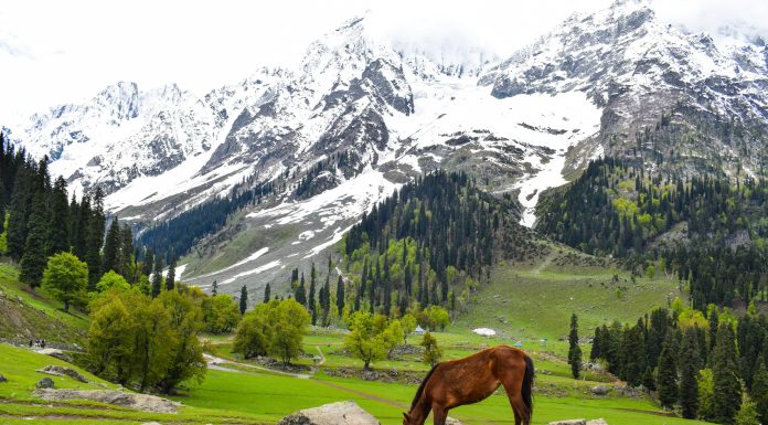 Places To Visit In Kashmir, (Image Source: Unsplash) Places To Visit In Kashmir