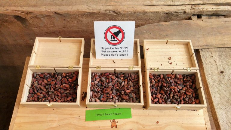 Trace The History Of Chocolates in Brussels, Belgium