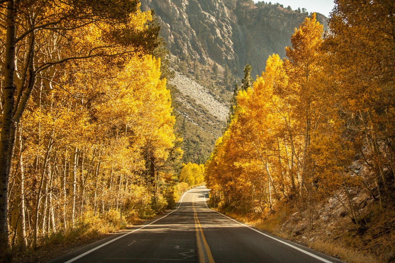 June Lake Loop