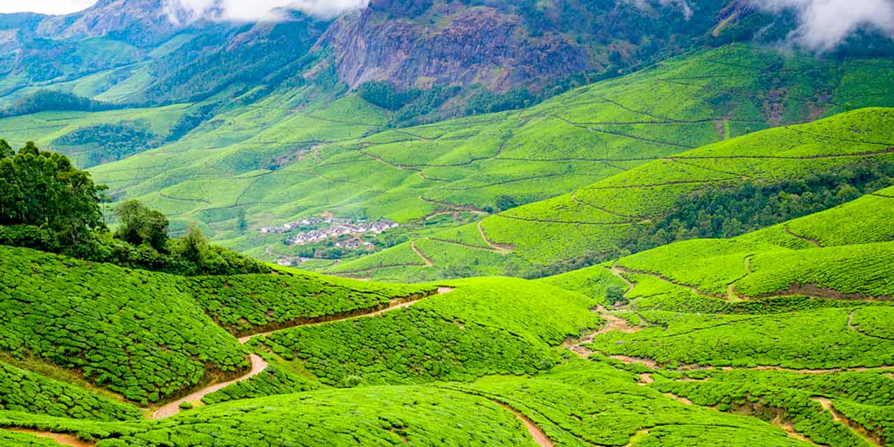 Tea Plantations In India - Kolukkumalai Tea Estate, Tamil Nadu 