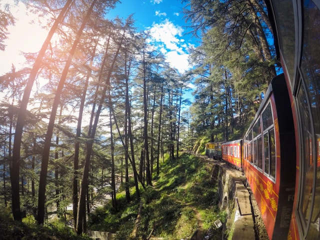 toy train of shimla