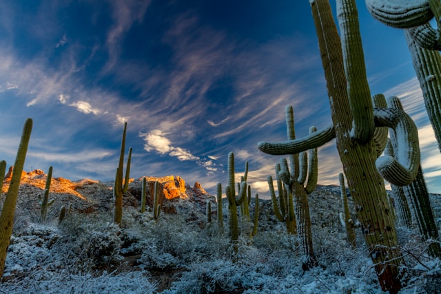 Hottest Desert in the world