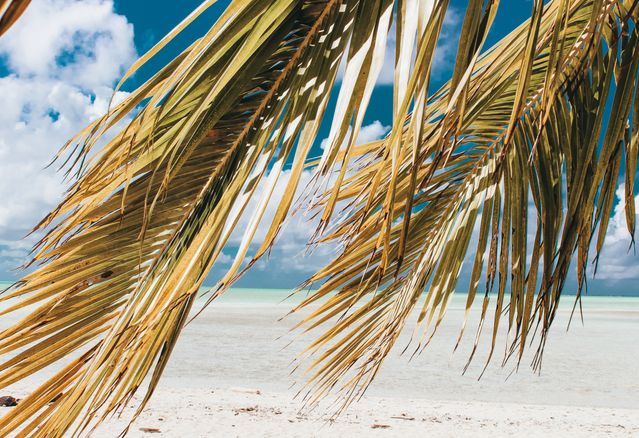 Best beaches