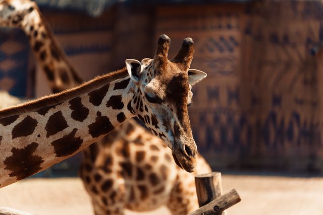 Largest zoos