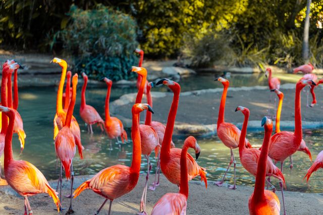 Check out the world's largest zoos