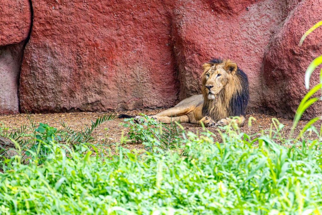 Check out the world's largest zoos