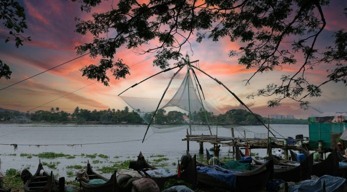 Reasons You Must Visit Kerala, (Image Source: Unsplash) Reasons You Must Visit Kerala