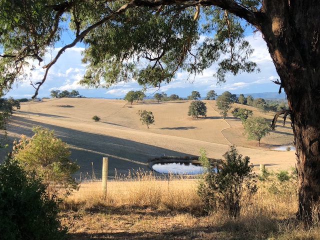 A view across a valley at sunrise in the Yarra Valley - things to do in Melbourne