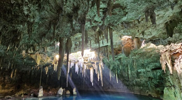 Cenotes In Mexico (Image Source: Unsplash) Cenotes In Mexico
