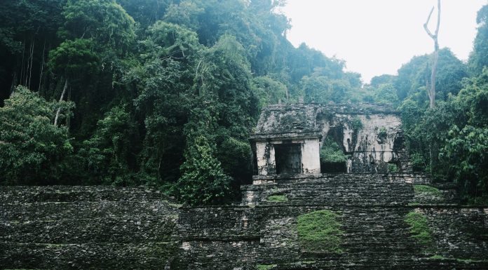 Mayan Riviera, Palenque, (Image Source: Unsplash) Mayan Riviera, Palenque