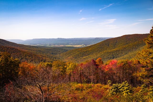 Virginia