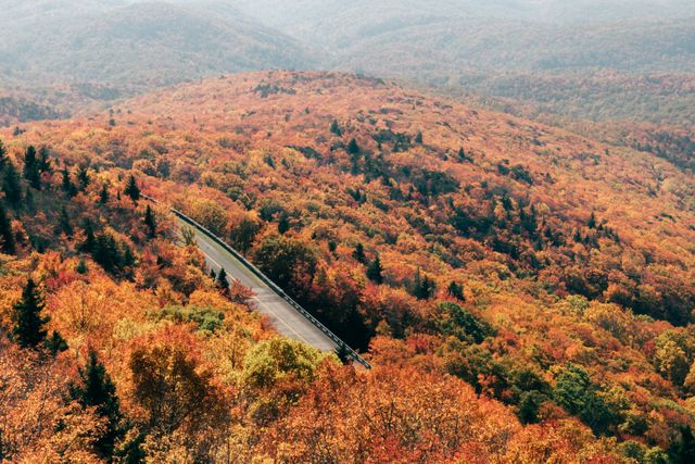 Blue Ridge Parkway