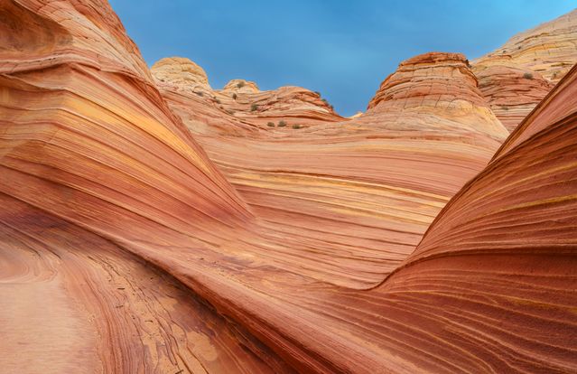 Wave trails in Utah