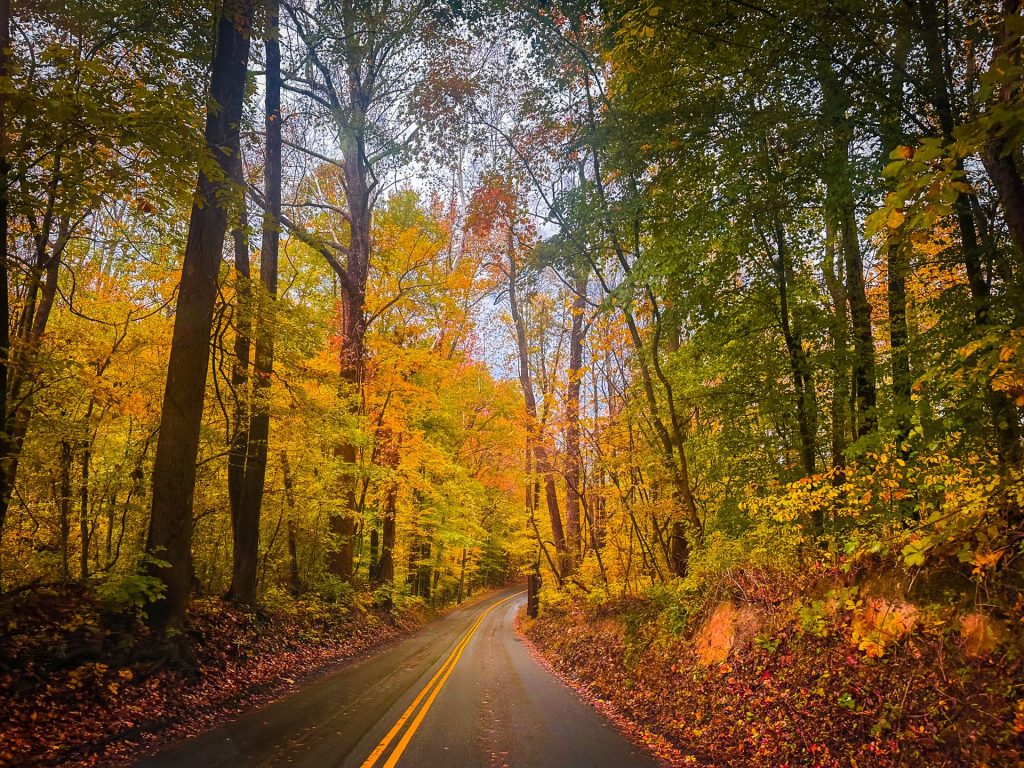Blue Ridge Parkway