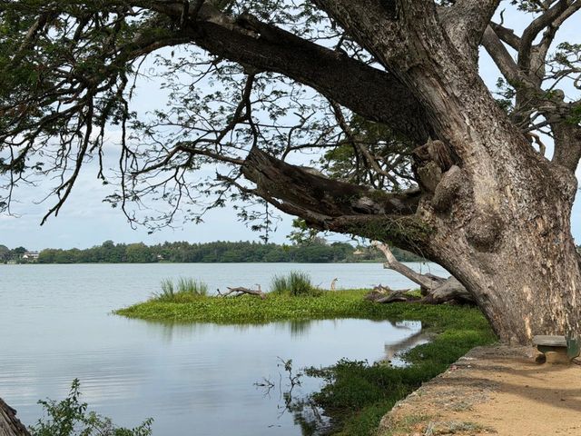 what to do in bangalore