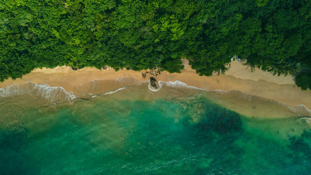 Things To Do In Unawatuna, Sri Lanka