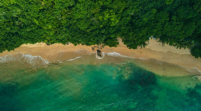 Things To Do In Unawatuna, Sri Lanka (Image Source: Unsplash) Things To Do In Unawatuna, Sri Lanka
