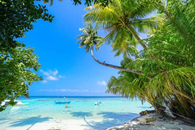 atolls meaning