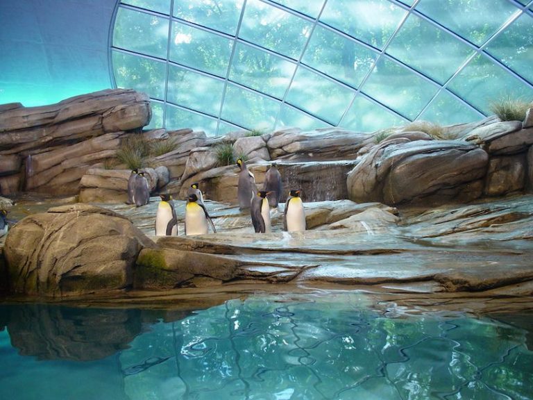 8 Largest Zoos In The World That Will Amaze You
