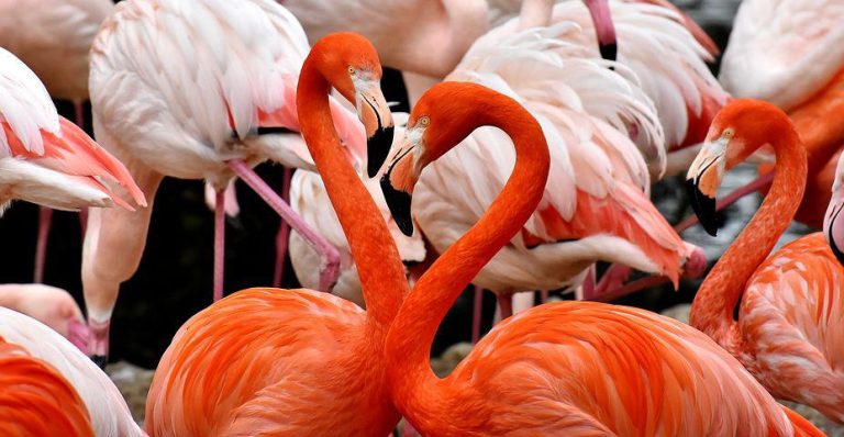 Check Out These Romantic Things To Do On Your Honeymoon In Aruba