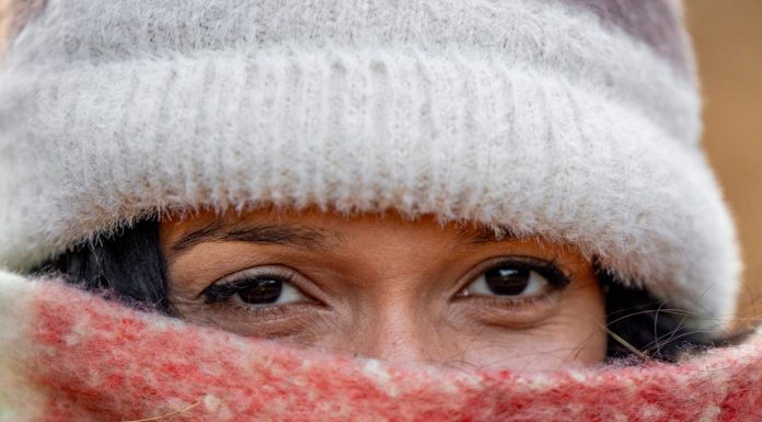Winter Accessories, (Image Source: Pexels) Winter Accessories
