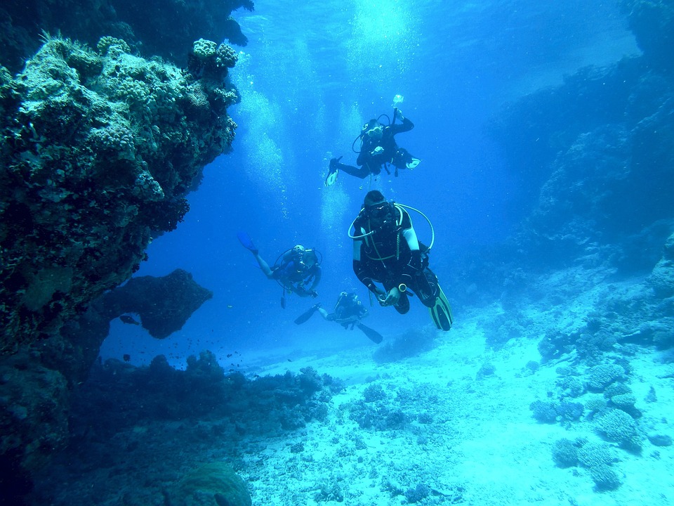 scubadiving is one of the must things to do in the maldives