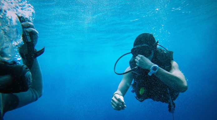 scuba diving, (Image Source: Unsplash) scuba diving