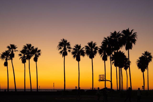 Venice Beach is the busiest los angeles beach