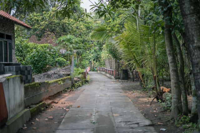 Village roads of Goa
