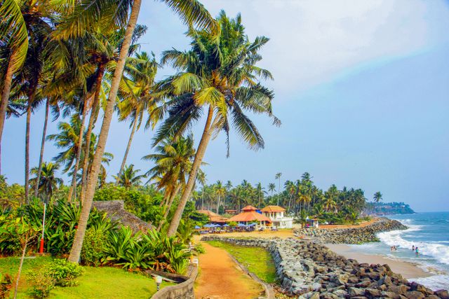 coconut trees lined on the beach makes for best varkala beach view