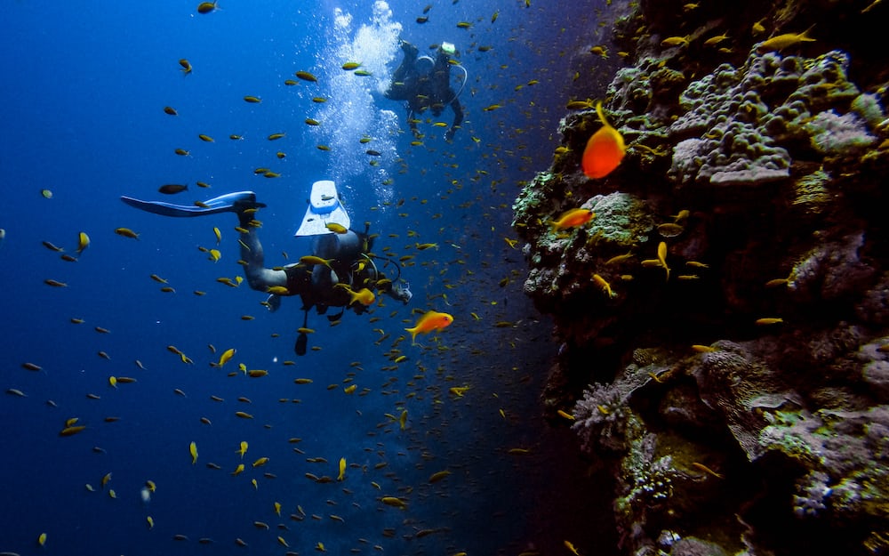 Wondrous Scuba diving experience in Malaysia 